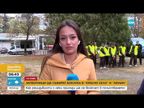 Видео: Доброволци и затворници чистят София