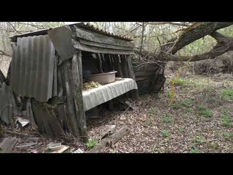 Видео: По Пензенским деревням. Царевщино - Войково. (часть 1)