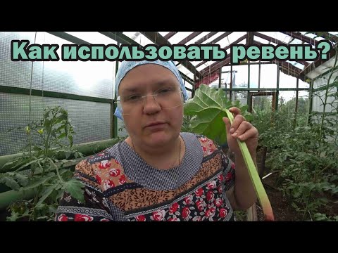 Видео: Что приготовить из ревеня?