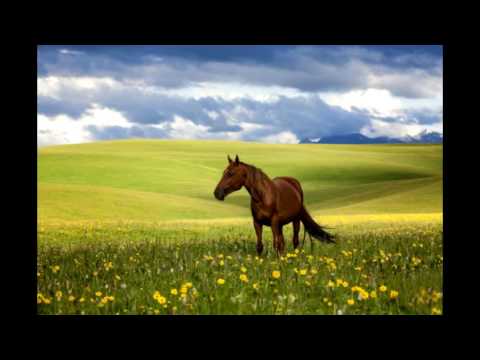 Видео: Очень красивая казахская народная песня «Гаухар-тас». Природа Казахстана.  Поет Русакова Татьяна.