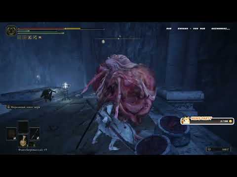 Видео: Прохождение ELDEN RING SHADOW OF THE ERDTREE #30 Позор на недобоссах...