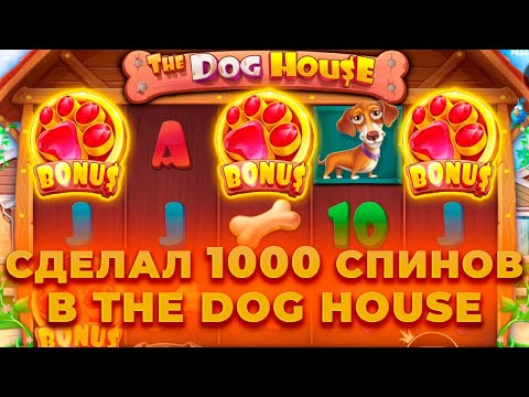 Видео: СДЕЛАЛ 1000 СПИНОВ В THE DOG HOUSE! ЭТО ПРОСТО ЖЕСТЬ.. ALL IN И ЗАНОСЫ НЕДЕЛИ ОНЛАЙН