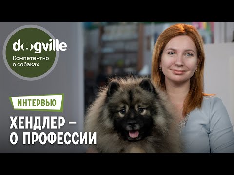 Видео: Хендлер – О профессии. Работа на выставках, советы для владельцев собак