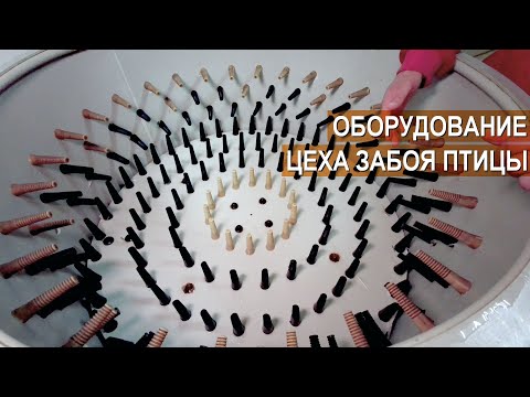 Видео: Оборудование цеха забоя птицы. Ферма Лукино.