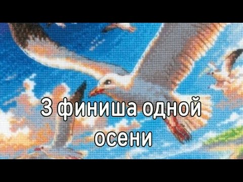 Видео: Золотая осень с вышивкой