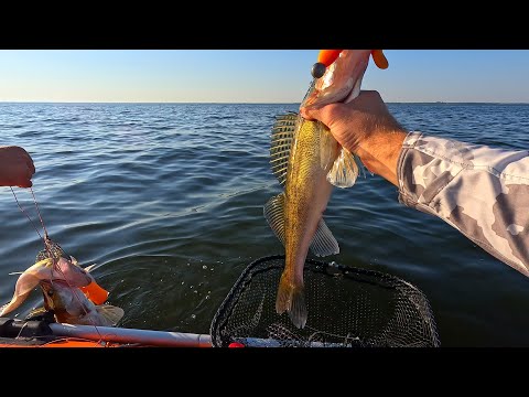 Видео: РЫБАЛКА НА СПИННИНГ. Ловля СУДАКА, ЖЕРЕХА где ЩУКА?