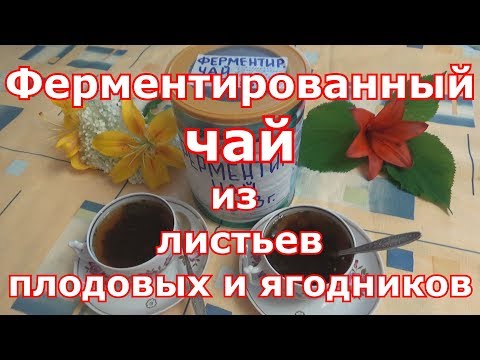 Видео: Ферментированный гранулированный чай из листьев садовых и дикорастущих растений