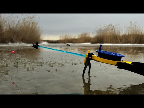 Видео: ПЕРВЫЙ ЛЁД 2025-2026!!! Черные болотные рыбины первого льда!!!