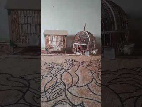 Видео: 9 октября 2025 г.