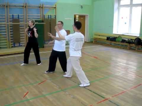 Видео: Ван Лин Тайцзи Ян 24 Объяснения некоторых движений [1]