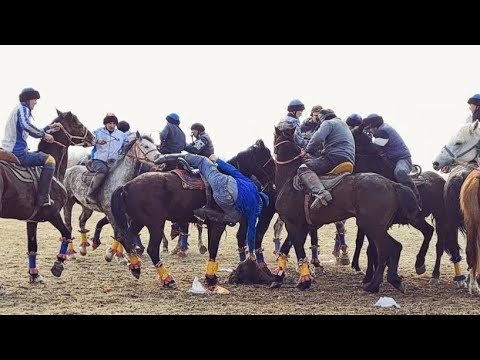 Видео: жаппай Көкпар 2023 Ораза Айт Атбасар ауданы Сергеевка ауылы