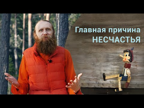 Видео: Главная причина несчастья