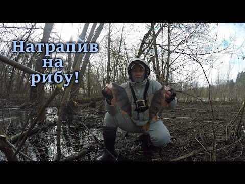 Видео: Голодний весняний ОКУНЬ! Доки ЩУКА під ЗАБОРОНОЮ!