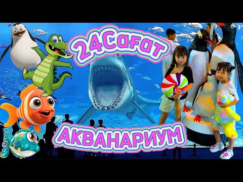 Видео: 24САҒАТ⏱️АКВАНАРИУМ ДА😱🦈🦑🐧🐠 ➤ DIL-AIA DUBAI ДАА🌆🌃