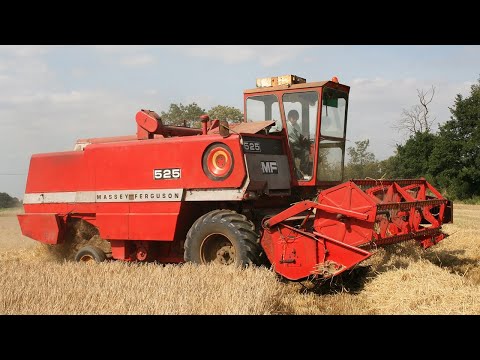 Видео: Классический комбайн Massey Ferguson 525 1970-х годов | Уборка ярового ячменя