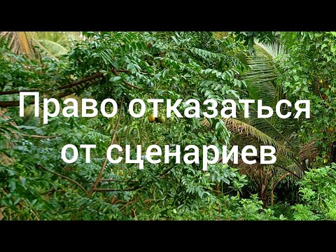 Видео: Активация силы и мудрости живых пробуждённых Творцов