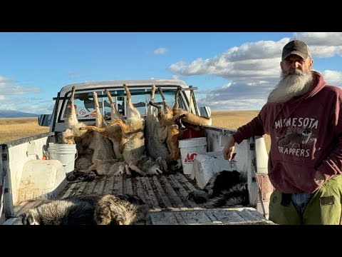 Видео: Эпизод 11 LBL «На северной линии было жарко!» #горныелюди #охотникнакойотов #historychannel #ферм...