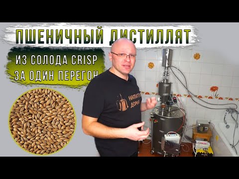 Видео: Пшеничный дистиллят из солода Crisp за один перегон.