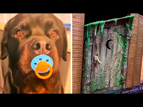 Видео: Популярное из Тик Ток (75 часть)