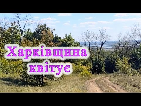 Видео: Маленька прогулянка до водосховища. Несподівані знахідки краси.