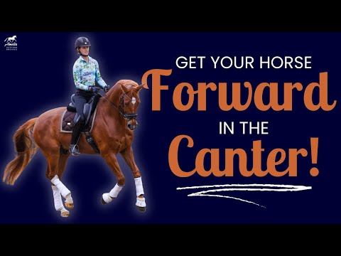 Видео: Ваша лошадь теряет галоп? Вот как это исправить!