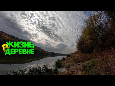 Видео: Ходил на Дон - Сделал стол