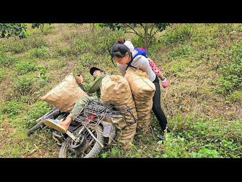 Видео: 17-летняя мать-одиночка: Собирает цветы банана. Помогает людям, попавшим в аварию. Строит ванную