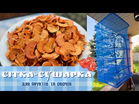 Видео: ОГЛЯД на СІТКУ-СУШАРКУ для Фруктів, Овочів, Грибів, Риби 🍏 🥕 🐟Процес та Висновки 📌