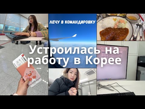 Видео: Кем я работаю после выпуска из Korea Univ / первая командировка в две страны