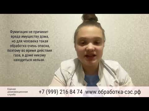 Видео: Как подготовить дом к фумигации
