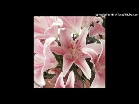 Видео: (free) pluggnb + урал гайсин type beat - "abandoned house" (prod. ashy + wayza)