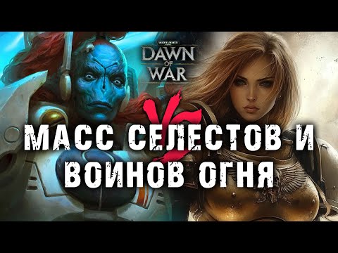 Видео: Тау НАСПАМИЛ 7 пачек ВОИНОВ ОГНЯ 😱 КАК ЭТО ОСТАНОВИТЬ?