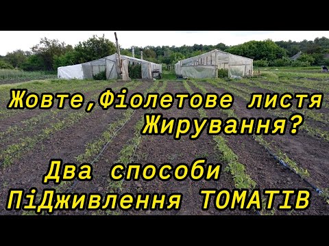 Видео: Два способи підживлення розсади Томатів.