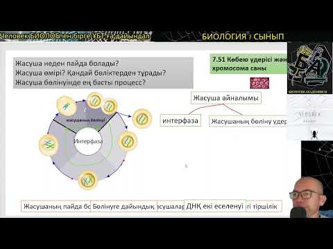Видео: 7.51 Көбею үдерісі және хромосома саны 1