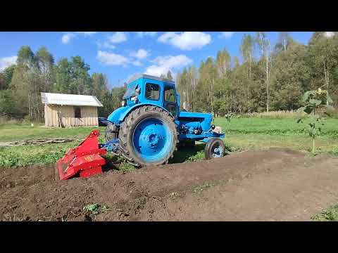 Видео: ФРЕЗЕРУЮ ОГОРОД Т 40. ОСЕНЬ 2025.