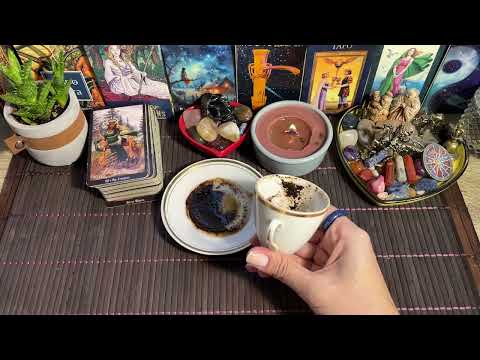 Видео: Чашка дня‼️