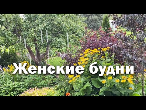 Видео: Один летний день в деревне//женские будни