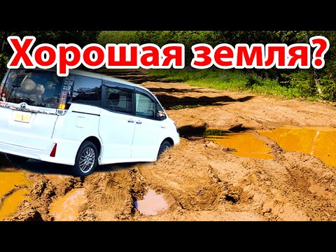 Видео: Ищем земельный участок. Джубга. Лермонтов сад. Тенгинка. Часть вторая.