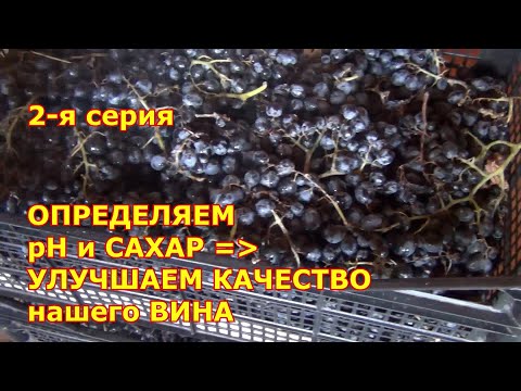 Видео: ДОМАШНЕЕ ВИНОДЕЛИЕ. 2 я серия. ОПРЕДЕЛЯЕМ рН и САХАР ВИНОГРАДА. УЛУЧШАЕМ КАЧЕСТВО будущего ВИНА