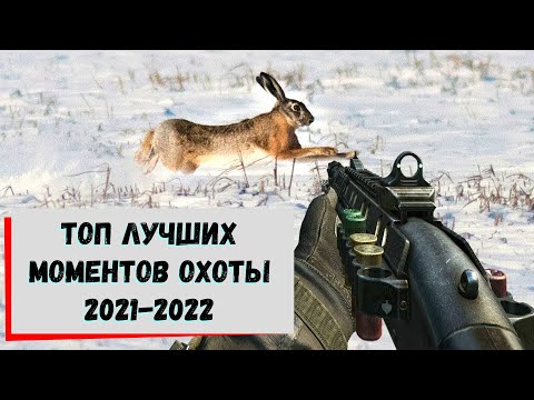 Видео: ОХОТА НА ЗАЙЦА. ЛУЧШИЕ ВЫСТРЕЛЫ. Топ выстрелов на охоте