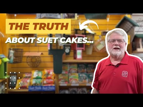 Видео: Правда о сале