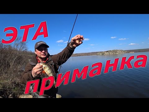 Видео: ПРИМАНКИ НА ВЕСЕННЕГО ОКУНЯ ОТРАБОТАЛИ 2021%