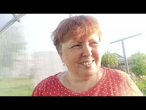 Видео: Лето ,жара. Июль . Как живут в деревне.