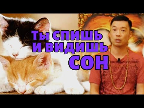 Видео: Как только теряется самосознание, ты засыпаешь, и этот мир сна становится реальным.