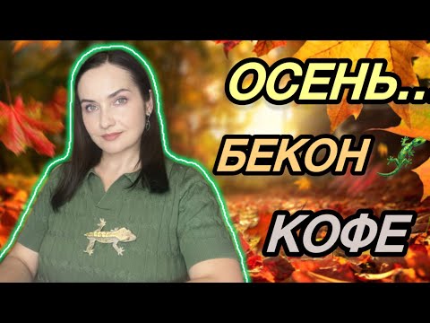 Видео: ☕️🤎ЛУЧШИЙ КОФЕЙНЫЙ АРОМАТ | ШИКАРНЫЕ НОВИНКИ, дубли, БЮДЖЕТНЫЕ НАХОДКИ на ОСЕНЬ 🍂 Я в ВОСТОРГЕ!!! 🤎😊