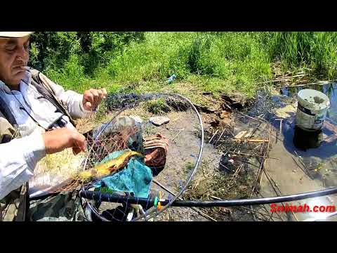 Видео: Лин на тесто, мисията възможна