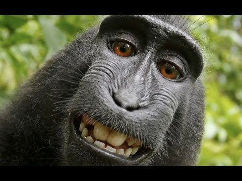 Видео: Умеете ли вы думать