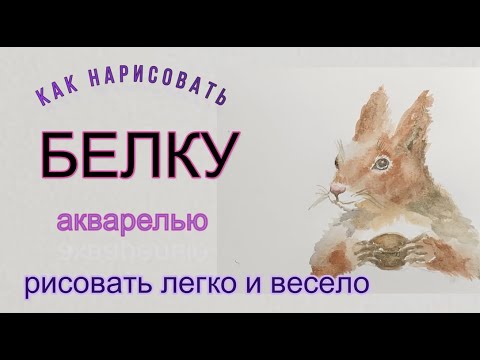 Видео: Белка лесная. Как нарисовать акварелью. Первые шаги в акварели