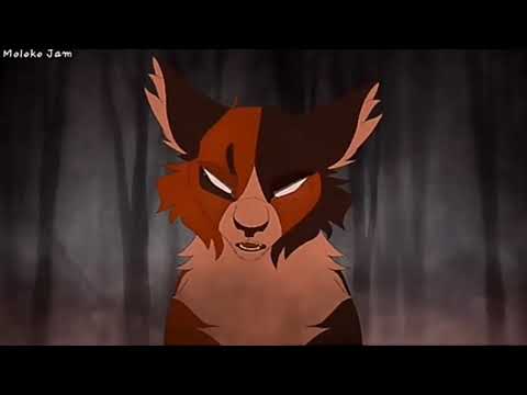 Видео: Коты воители клип - песня Яндере.