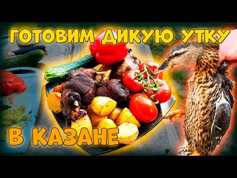 Видео: ГОТОВИМ ДИКУЮ УТКУ В КАЗАНЕ